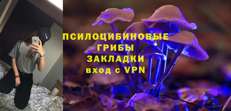 закладка  Ржев  даркнет какой сайт  Псилоцибиновые грибы Magic Shrooms 